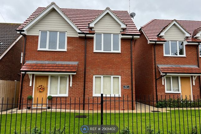 Flat, Lavender Grove, Westcliff-On-Sea photo 2