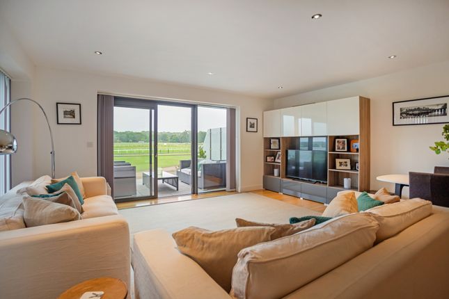 1, Cape Cross House, Newbury photo 4