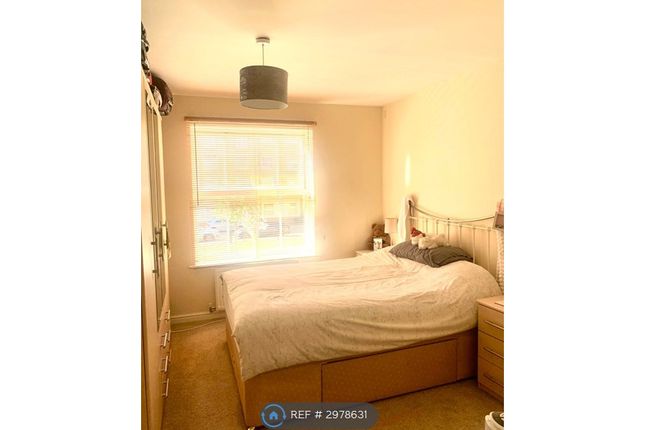 Malyon Close, Braintree photo 4