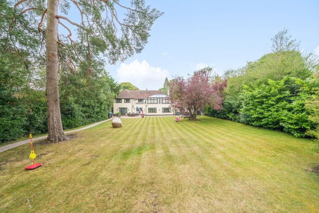 35, Forest Drive, Keston photo 2