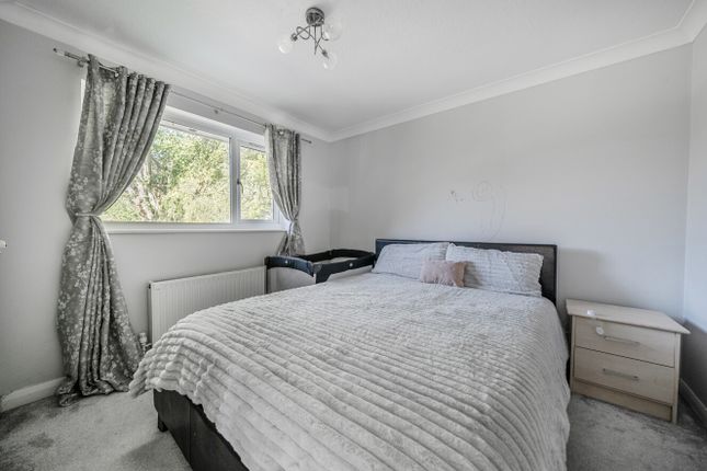 1354645-17-68d17B...