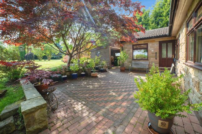 151, Milnhay Road, Nottingham photo 2