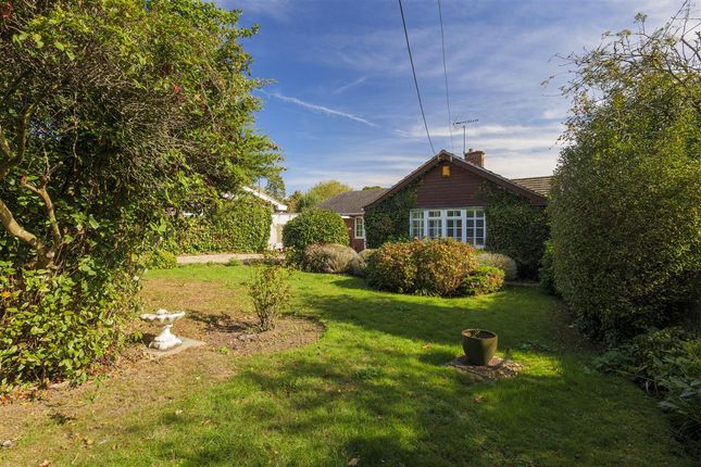 Ifield Lodge, Whitstable photo 3