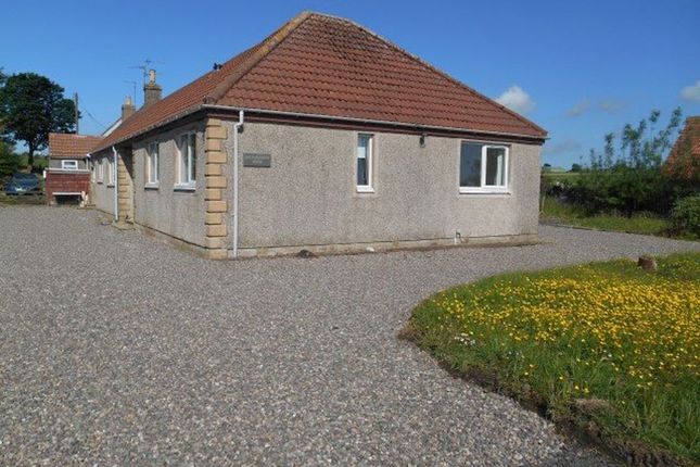Lathones, Largoward, Fife, Largoward photo 2