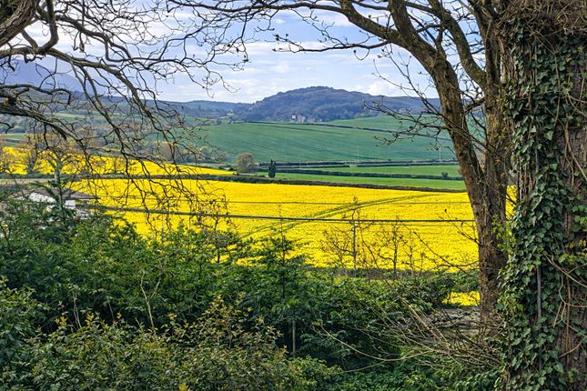 Tilfrey,, Wood Lane, Minehead photo 2