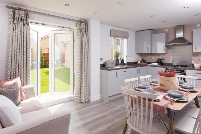Thumbnail Detached house for sale in "Hadley" at Barkworth Way, Hessle