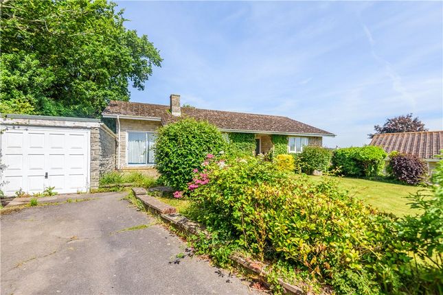 Thumbnail Bungalow for sale in Downside Close, Charmouth, Bridport