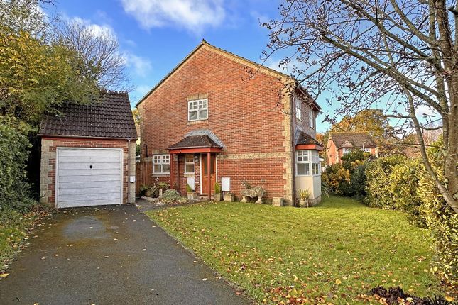 Thumbnail Detached house for sale in Caraway Close, Chard