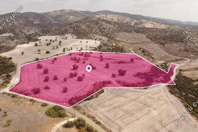Land for sale in Kofinou, Larnaca, Cyprus