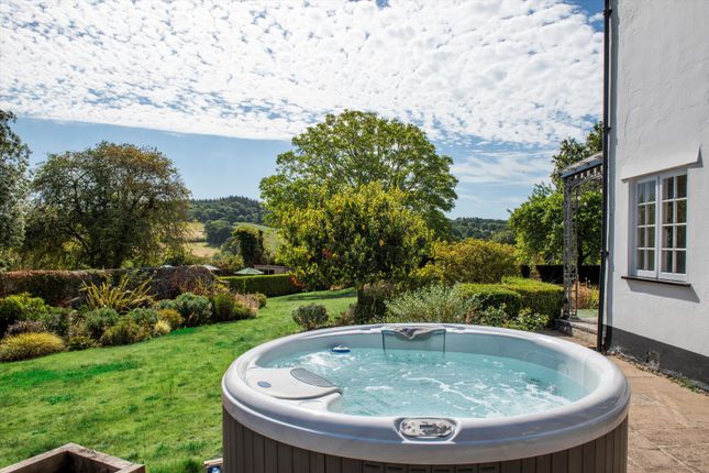 Dalwood, Axminster photo 4