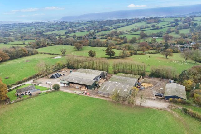 Bank Farm