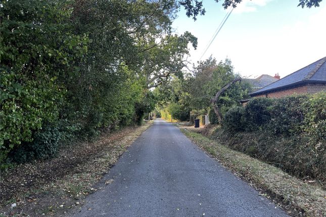 Copperbeech,, Yaldhurst Lane, Lymington photo 4