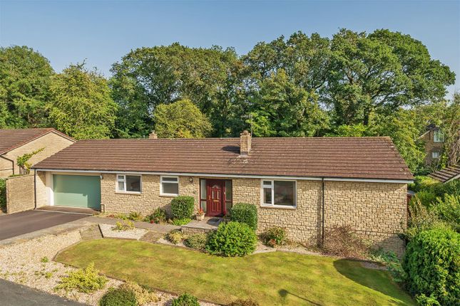 Thumbnail Detached bungalow for sale in Millfield, Beaminster, Dorset