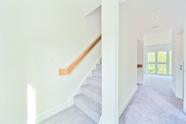 11, Nelson photo 2