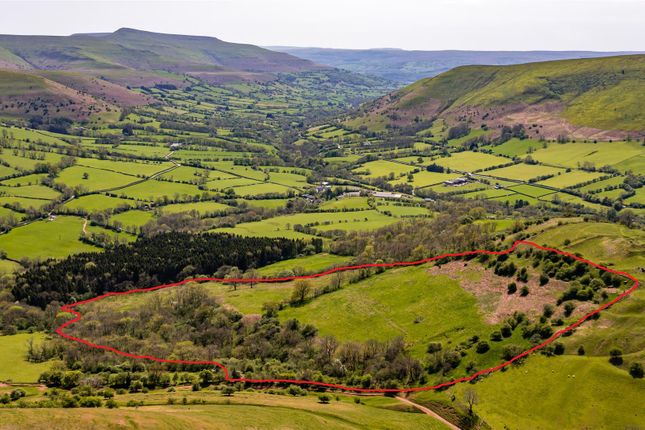 Dinas Outline.Jpg