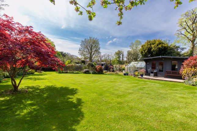 Detached bungalow for sale in Bowes Hill, Rowland's Castle