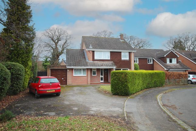 Thumbnail Detached house to rent in New Forest Drive, Brockenhurst