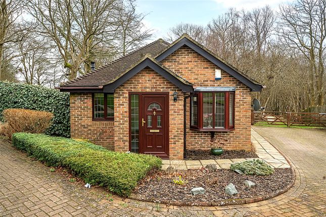 Thumbnail Detached house to rent in Oak Warren, Oak Lane, Sevenoaks, Kent
