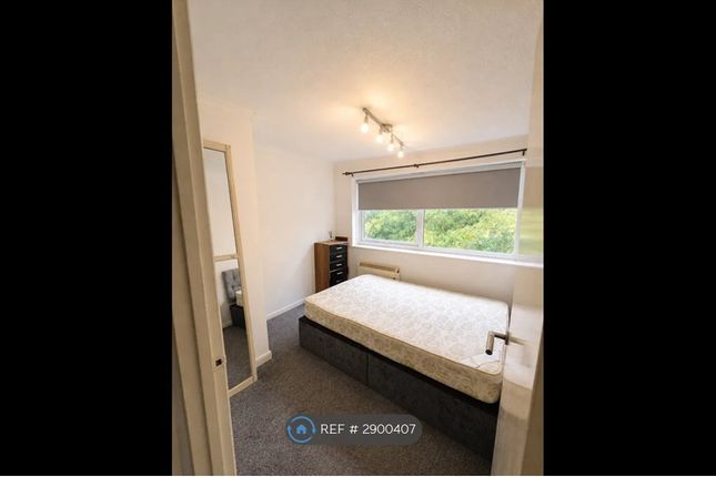 Luton photo 4