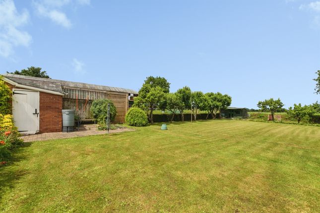 3, Burrow Farm Cottages, Exeter photo 4