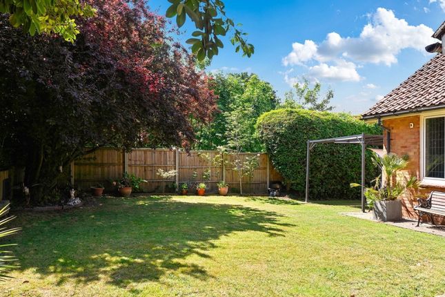 226 Faversham Road, Ashford photo 3