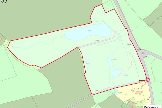 Thumbnail Land for sale in Grafham, Bramley, Guildford