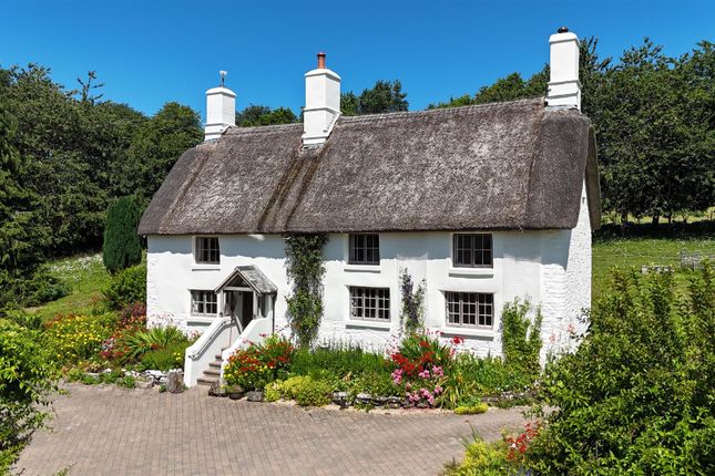 Pitt Farm, Chulmleigh photo 3