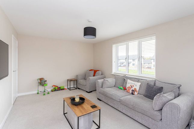 Lawder Gardens, Glenrothes photo 3