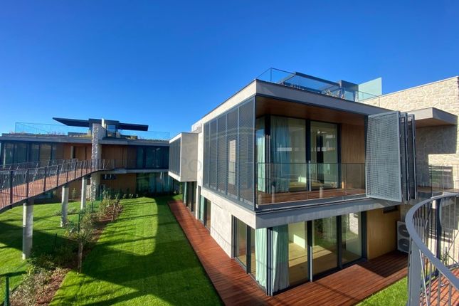 Thumbnail Detached house for sale in Cascais E Estoril, Cascais, Lisboa