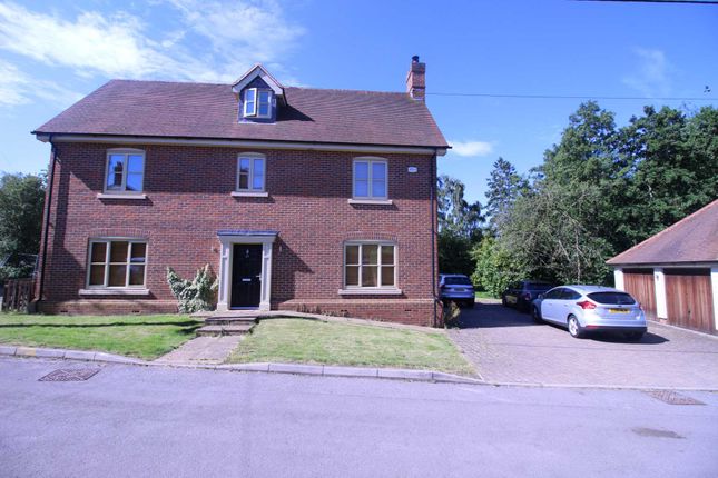 Thumbnail Detached house to rent in Robinsbridge Road, Coggeshall