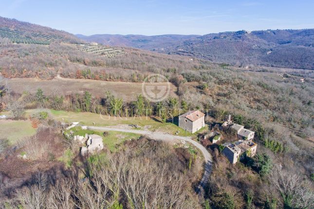 Thumbnail Villa for sale in Ficulle, Terni, Umbria