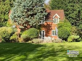 Thumbnail Detached house to rent in Bath Road, Bath Road, Knowl Hill, Reading, Berkshire