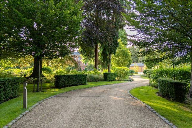 1 Ashtead House,, Farm Lane, Surrey photo 4