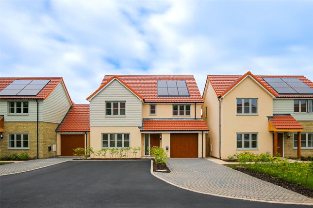 Thumbnail Detached house for sale in Knightcott Road, Banwell, Somerset