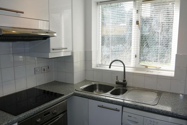 Thicket Grove, Anerley photo 2