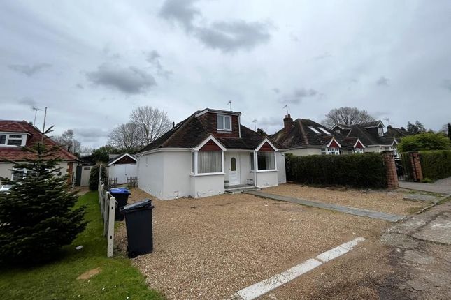 Thumbnail Detached bungalow to rent in Scotts Grove Close, Chobham, Woking