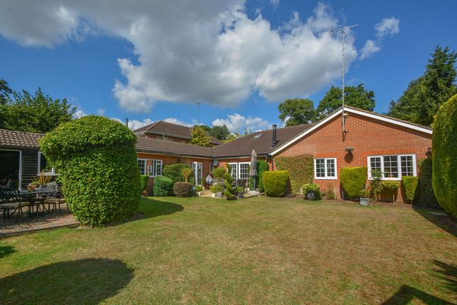 Thumbnail Detached house for sale in Nine Mile Ride, Finchampstead