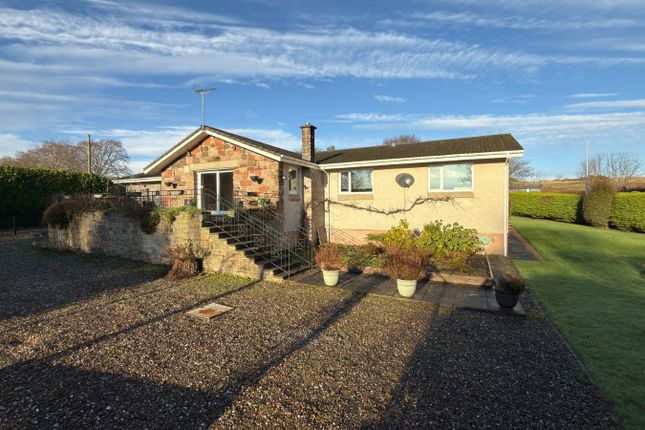 Sierras, Windsole, Auchterarder photo 4