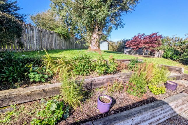 Thistle Cottage, Croesyceiliog, Carmarthen photo 3