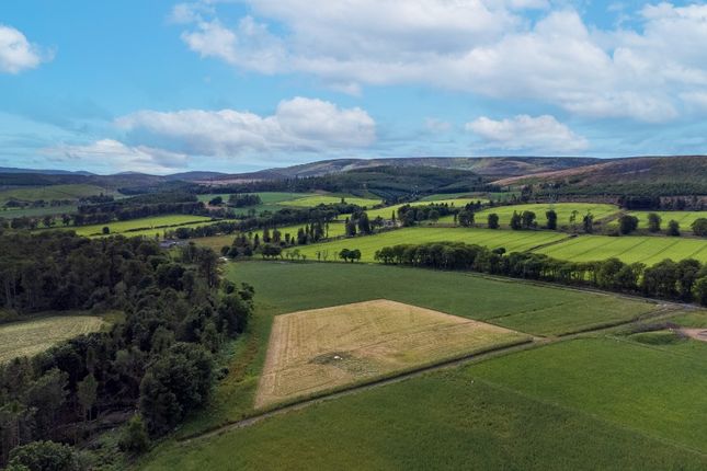 Land for sale in Fasque Estate, Aberdeenshire