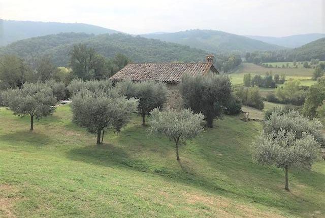Country house for sale in Lisciano Niccone, Lisciano Niccone, Umbria