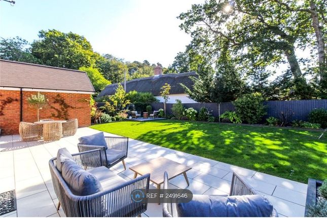 Back Garden