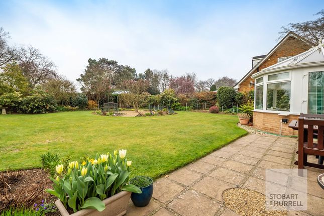 66, Charles Close, Norwich photo 4