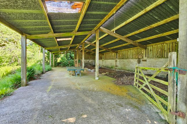 Detached house for sale in Chillaton, Lifton, Devon