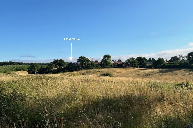 Surrounding Countryside