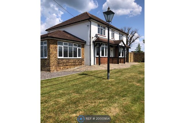 Thumbnail Detached house to rent in Pigeonhouse Lane, Winkfield, Windsor