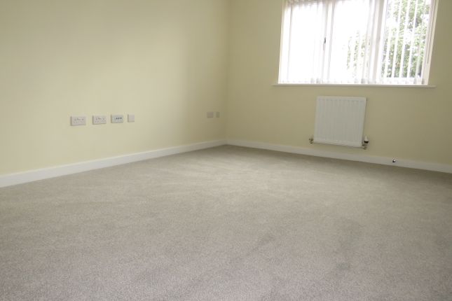 9, Warwick photo 5