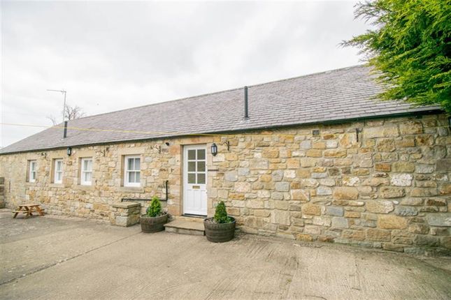 Thumbnail Detached bungalow to rent in Mitford, Morpeth