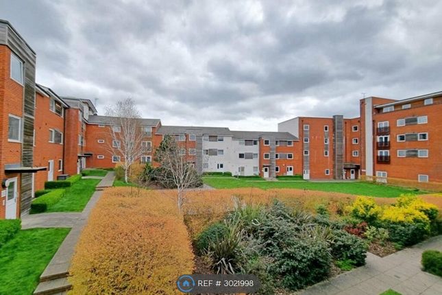 Pownall Road, Ipswich photo 2