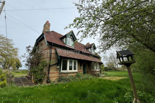 Detached house to rent in Drewells Lane, Eynesbury Hardwicke, St Neots